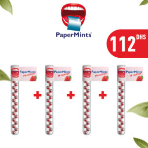 vent ppm v Plan de travail copie